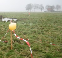 Optische Vergrämungsmaßnahmen im Holter Hammrich