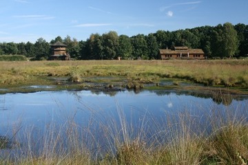 Naturschutzgebiet Goldenstedter Moor Nds Landesbetrieb Fur