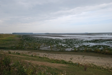 Hedwige-Prosper Polder