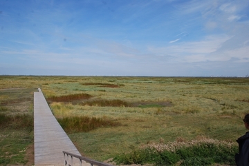 Verdronken Land van Saeftinghe