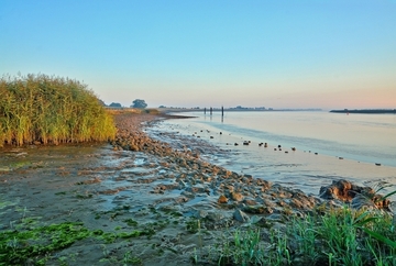 Am 12.02.2025 berichtet Beatrice Claus vom WWF zur Entwicklung von Ems und Elbe in den vergangenen 25 Jahren.