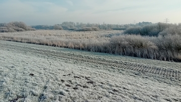 Deichvorland am im Rahmen vom Masterplan Ems 20250 entstandenen Süßwasserpolder Stapelmoor