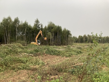 Bagger beim Freistellen