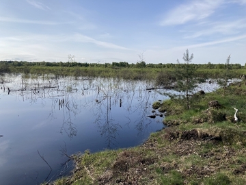 Mit Wasser gefüllte, freigestellte Pütte