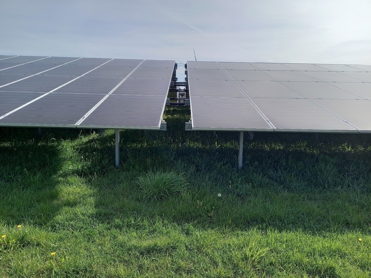 Solarparks sollten nur auf Flächen mit Biotoptypen der Wertstufen I und II errichtet und so geplant werden, dass darin Biotoptypen mindestens der Wertstufe III erreicht werden und diese mindestens ein Drittel des Solarparks einnehmen.
