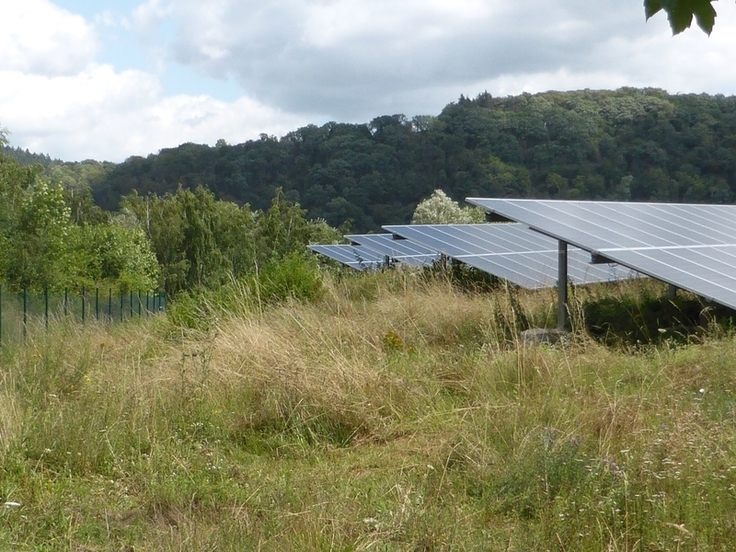 Beispiel für eine gut in die Umgebung integrierte Freiflächen-Photovoltaikanlage: Die Freiflächen können sich naturnah entwickeln; sie werden einmal jährlich gemäht. Das Mähgut wird abtransportiert.