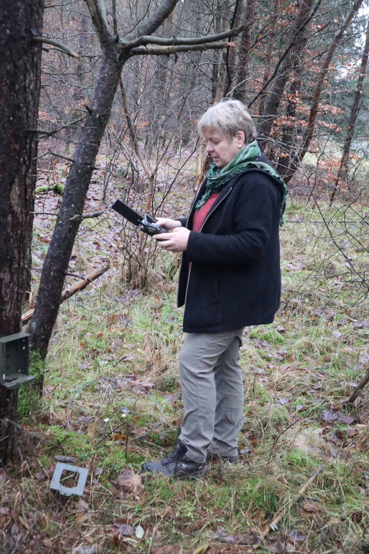 Auch das Anbringen von Kamerafallen gehört zu den spannenden Tätigkeiten einer ehrenamtlich tätigen Wolfsberaterin, um Wolfsnachweise (Welpen, Anzahl Tiere im Rudel etc.) mittels Fotofallenaufnahmen für das Monitoring zu dokumentieren.