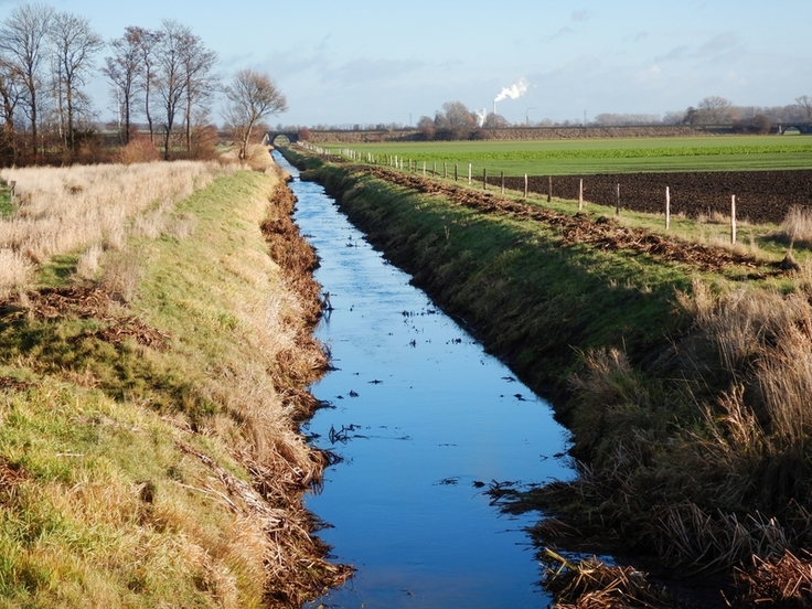 Bruchgraben bei Hildesheim – ein Beispiel für einen erheblich veränderten, begradigten Bachlauf neben Äckern. (Foto: NLWKN)
