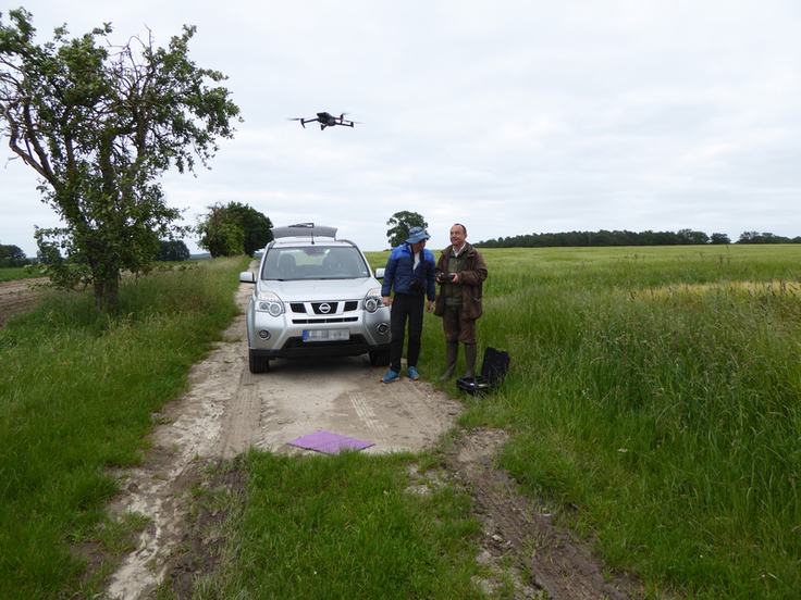 Abheben zum Kontrollflug: Zur Nestkontrolle setzen die Naturschützer eine infrarotfähige Drohne ein (Bild: Anne Rogge).