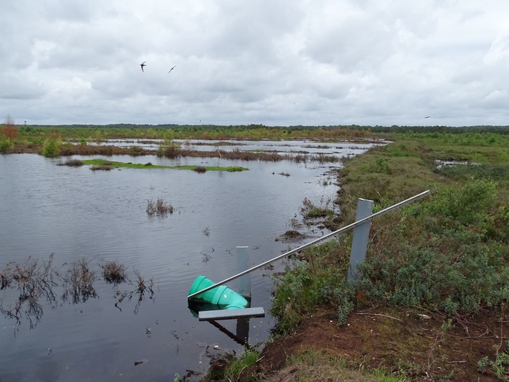 Regelbarer Überlauf in einem Torfdamm im Bissendorfer Moor – Über das Rohr kann der Wasserstand im Moorpolder beeinflusst werden.