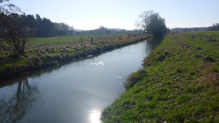 Struktur- und strömungsarm – so präsentiert sich die Schunter aktuell noch im Projektgebiet. Das Vorhaben des NLWKN soll das ändern (Foto: NLWKN).