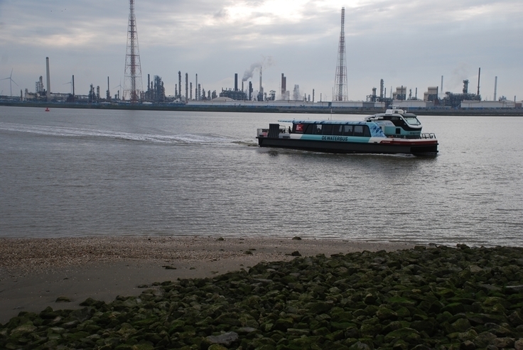 Der vielfach am Tag vorbeifahrende "Waterbus" erzeugt einen sehr starken Wellenschlag.