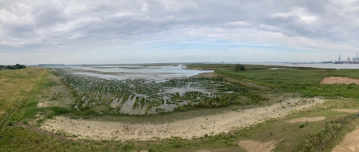 Panoramaaufnahme des Hedwige-Prosper Polders