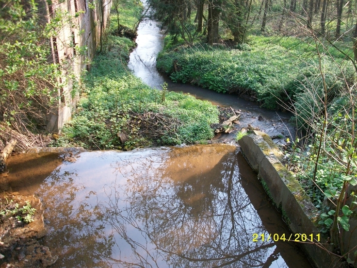 Die Graue unterhalb der Wassermühle „Untermühle“ in dem Ort Graue. Durch die vorläufige Sicherung wird die Bevölkerung langfristig vor Hochwasserschäden geschützt (Bild: NLWKN).