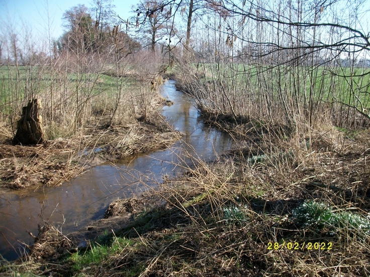 Die Calle oberhalb der Einmündung in die Graue. Auch unscheinbare Gewässer können bei Hochwasser zur Gefahr werden (Bild: NLWKN).