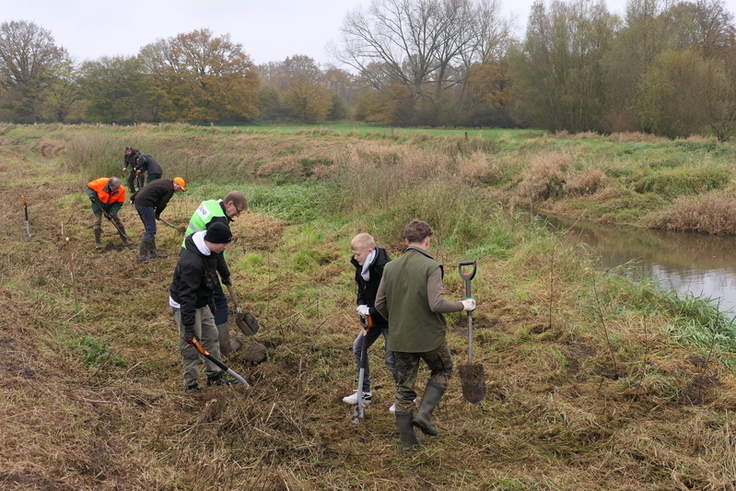 Durch die Pflanzaktion können die Schülerinnen und Schüler viel über die Bedeutung intakter Gewässer und ihrer Auen kennenlernen. (Foto: Charlotte Viezenz / NLWKN)