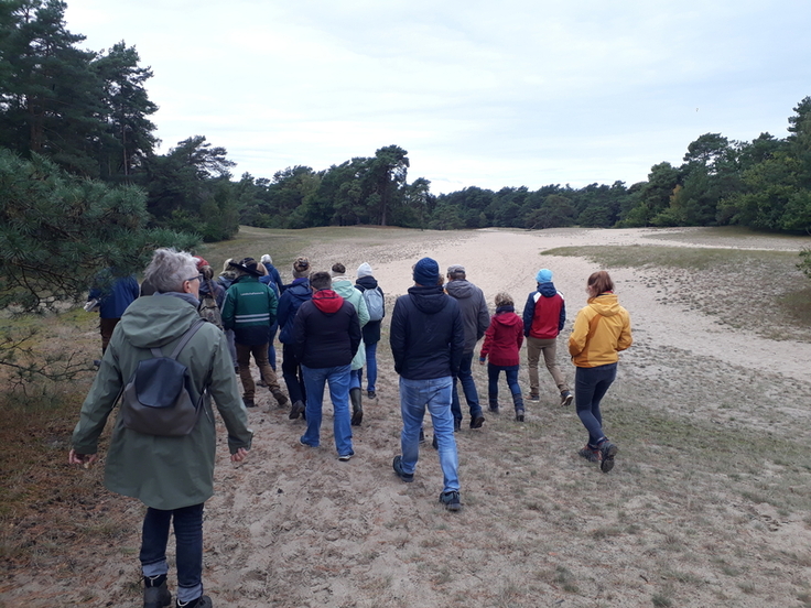 Das Dünengebiet bei Neumühlen (Verden) ist weitläufig. Silbergrasfluren und offene Sandflächen überwiegen (Foto Leonie Brasch, NLWKN Lüneburg)