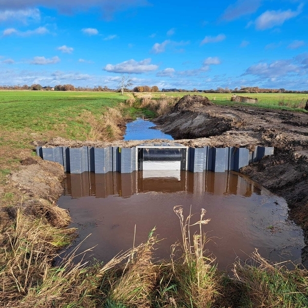 Der Einbau der neuen Staubauwerke soll auch in weniger feuchten Brutperioden ausreichend hohe Wasserstände gewährleisten.