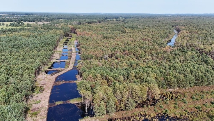 Wiedervernässte Bereiche im Otternhagener Moor (Foto: Marcel Hollenbach)