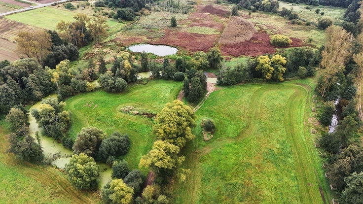 Der Altarm der Rhume (links) wurde über eine Furt und ein Rohrsystem wieder an den Fluss (rechts) angebunden. Von den neu angelegten Biotopen – oben im Bild – soll unter anderem der Kammmolch profitieren (Bilder: Kathrin Moggert/NLWKN).