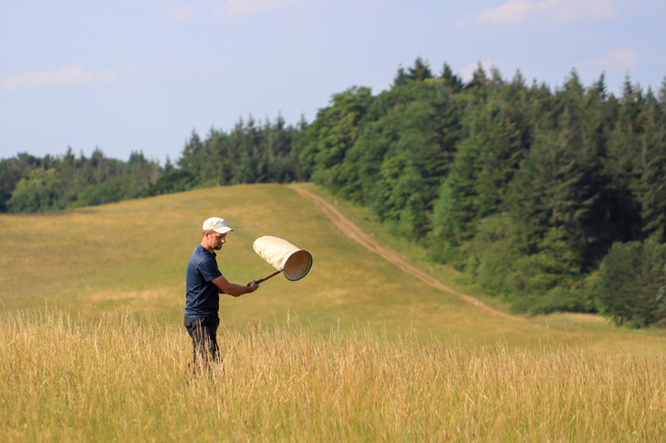 Um auch Heuschreckenarten zu erfassen, die nur in sehr geringer Dichte vorkommen, wird in den Stichprobenflächen ergänzend eine qualitative Nachsuche durchgeführt (Foto: Marco Drung).