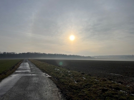 Beispiel einer ausgeräumten Agrarlandschaft