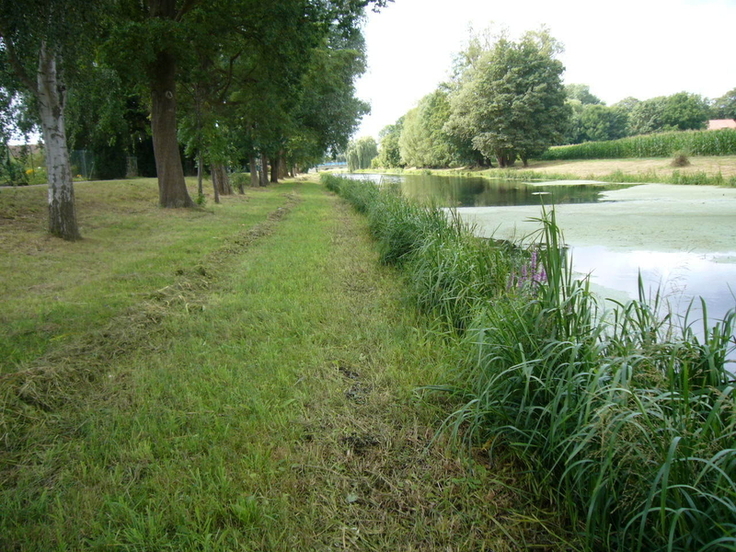 Dieses Bild ist 2023 entstanden und zeigt einen Teil der gemähten Böschung. Der NLWKN ruft zu einem verantwortungsvollen Handeln in der Natur auf