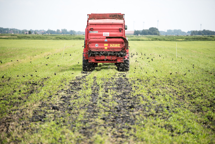 Das Aufbringen von Schlick mit dem Dungtellerstreuer war ein zentraler Bestandteil dieses Pilotprojekt. Dieser kam bei einer Auftragshöhe bis fünf Zentimeter zum Einsatz. (Foto: Landwirtschaftskammer Niedersachsen)