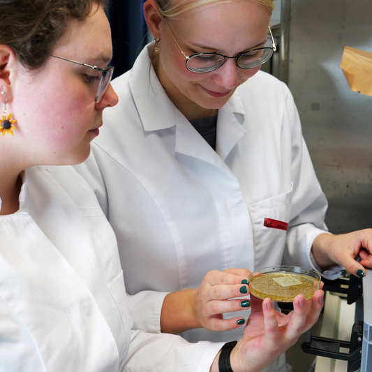 Tabea Graupe und Magdalena Hofherr nehmen ihre „Insel-Mitbringsel“ im Probenahmestützpunkt in Norden genau unter die Lupe (Bild: Lippe/NLWKN).