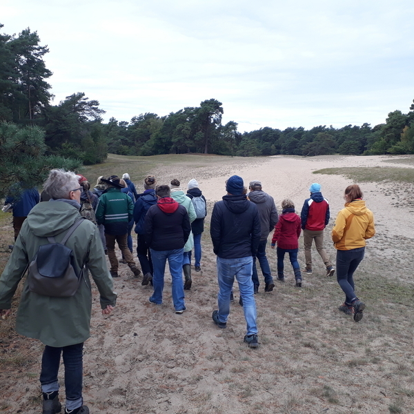 Das Dünengebiet bei Neumühlen (Verden) ist weitläufig. Silbergrasfluren und offene Sandflächen überwiegen (Foto Leonie Brasch, NLWKN Lüneburg)